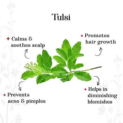 Rozhub Naturals Tulsi Powder For Pimple Free Clear Skin, Silky Hair, 100 Gm