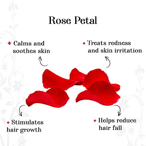 Rozhub Naturals Rose Petal Powder For Pimple Free Clear Skin, Silky Hair, 100 Gm