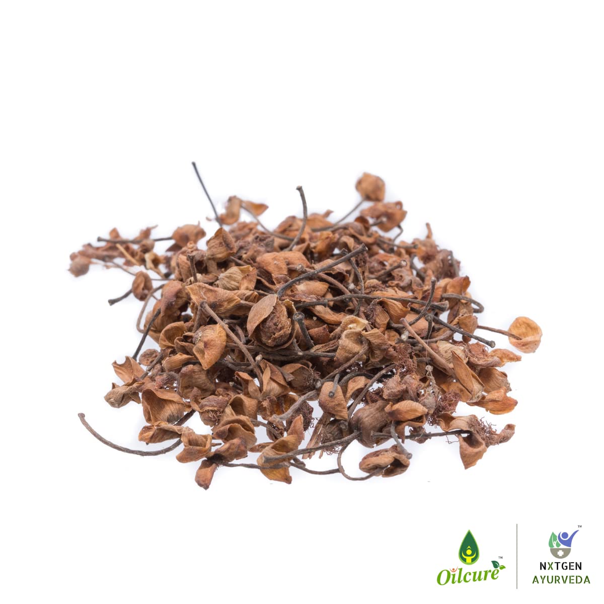 Nxtgen Ayurveda Nagkesar | 100g | Ochrocarpus Longifolius