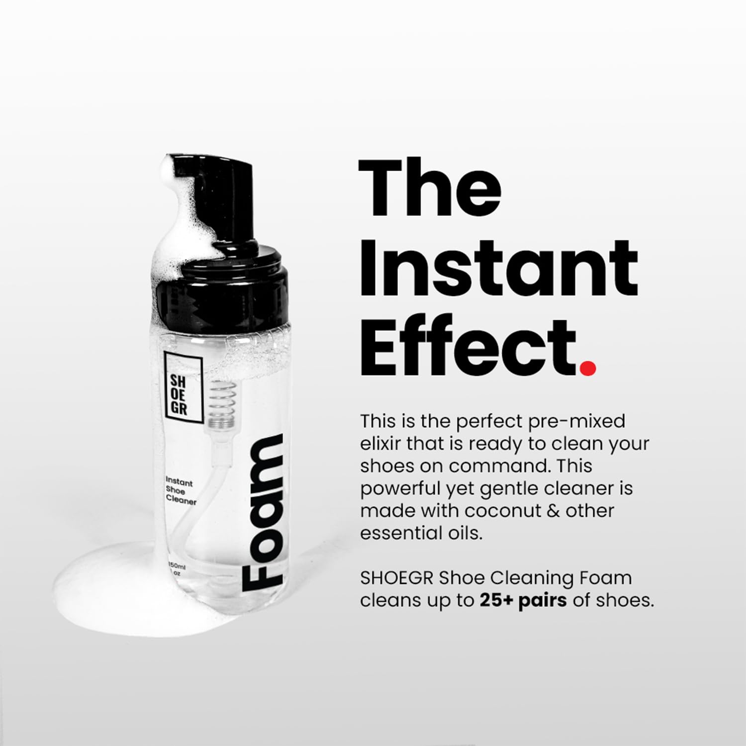 SHOEGR Instant Shoe Cleaning Kit