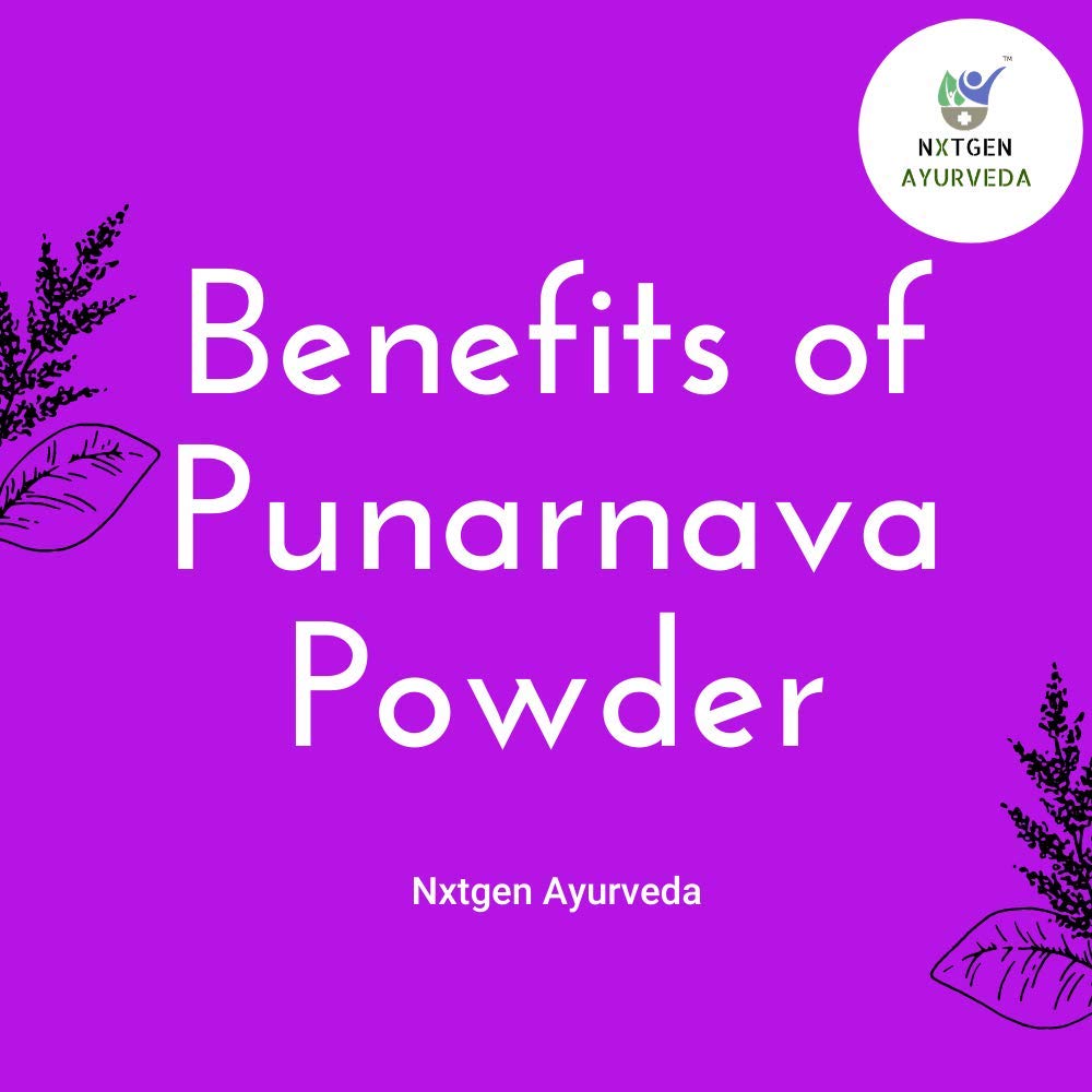 Nxtgen Ayurveda Punarnava Powder | 100g | Boerhavia Diffusa | Pure