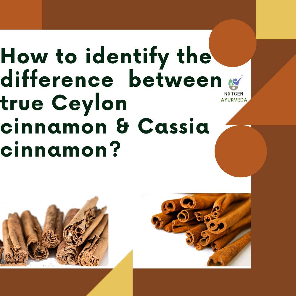 Nxtgen Ayurveda Ceylon Cinnamon Sticks | Pack Of 5 | Sri Lankan Dalchini | 50g Each