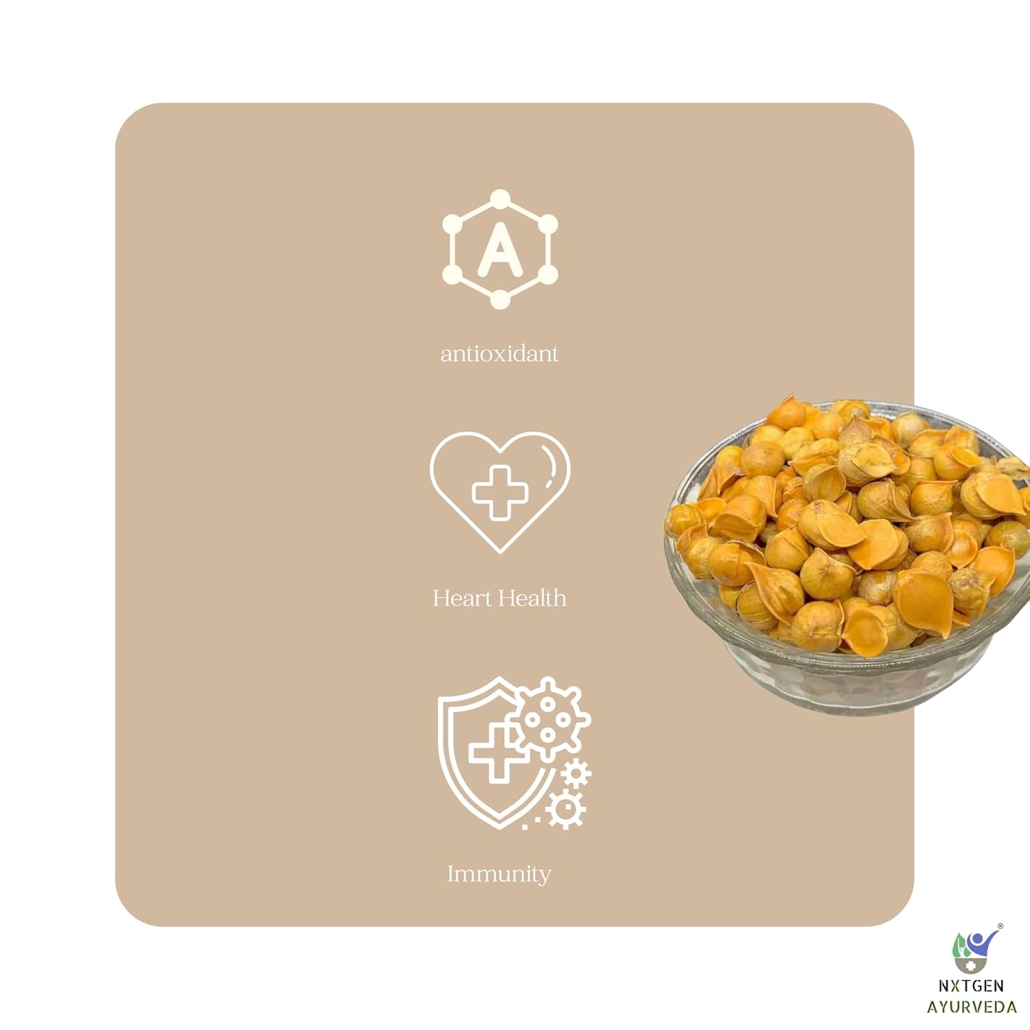 Nxtgen Ayurveda Kashmiri Garlic Single Clove | 50 gm | Himalayan Snow Mountain Garlic | Whole