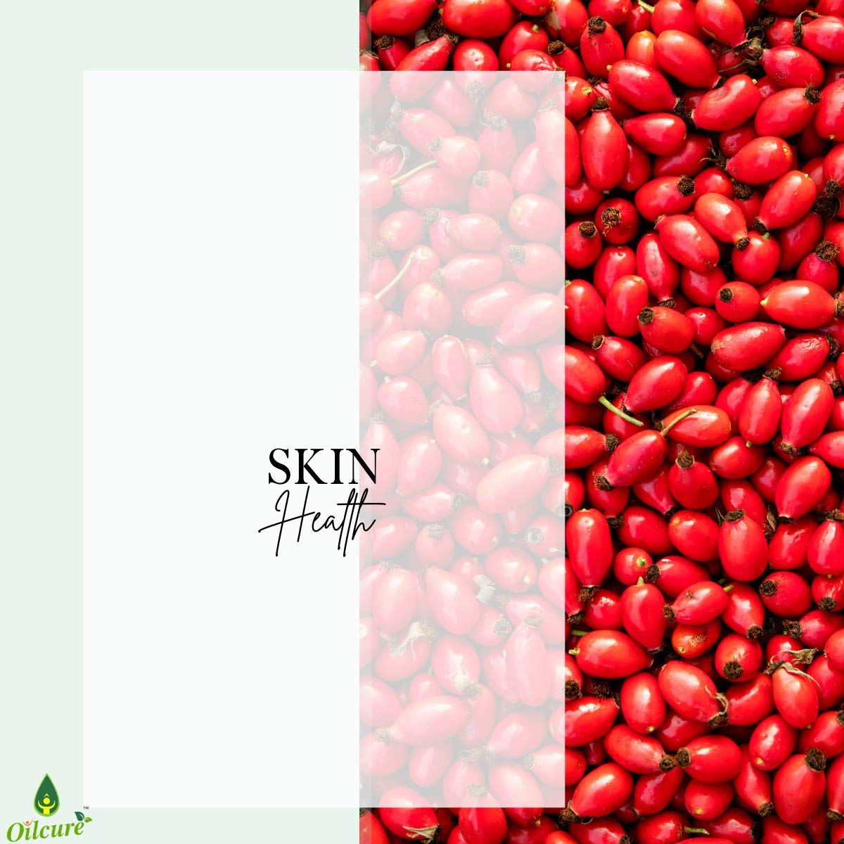 Oilcure Rosehip Oil Therapeutic Grade