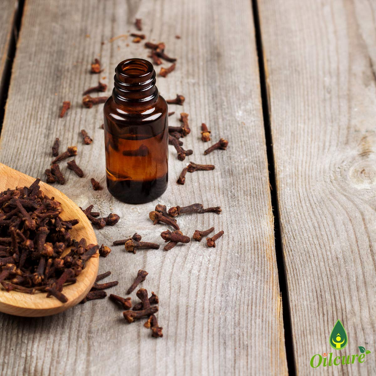 Oilcure Clove Essential Oil | 30 ml | Pure | Undiluted