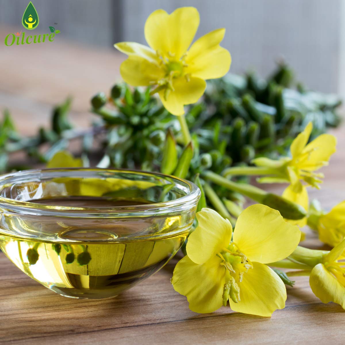Oilcure Evening Primrose Oil | 30 ml | Therapeutic Grade | Carrier Oil