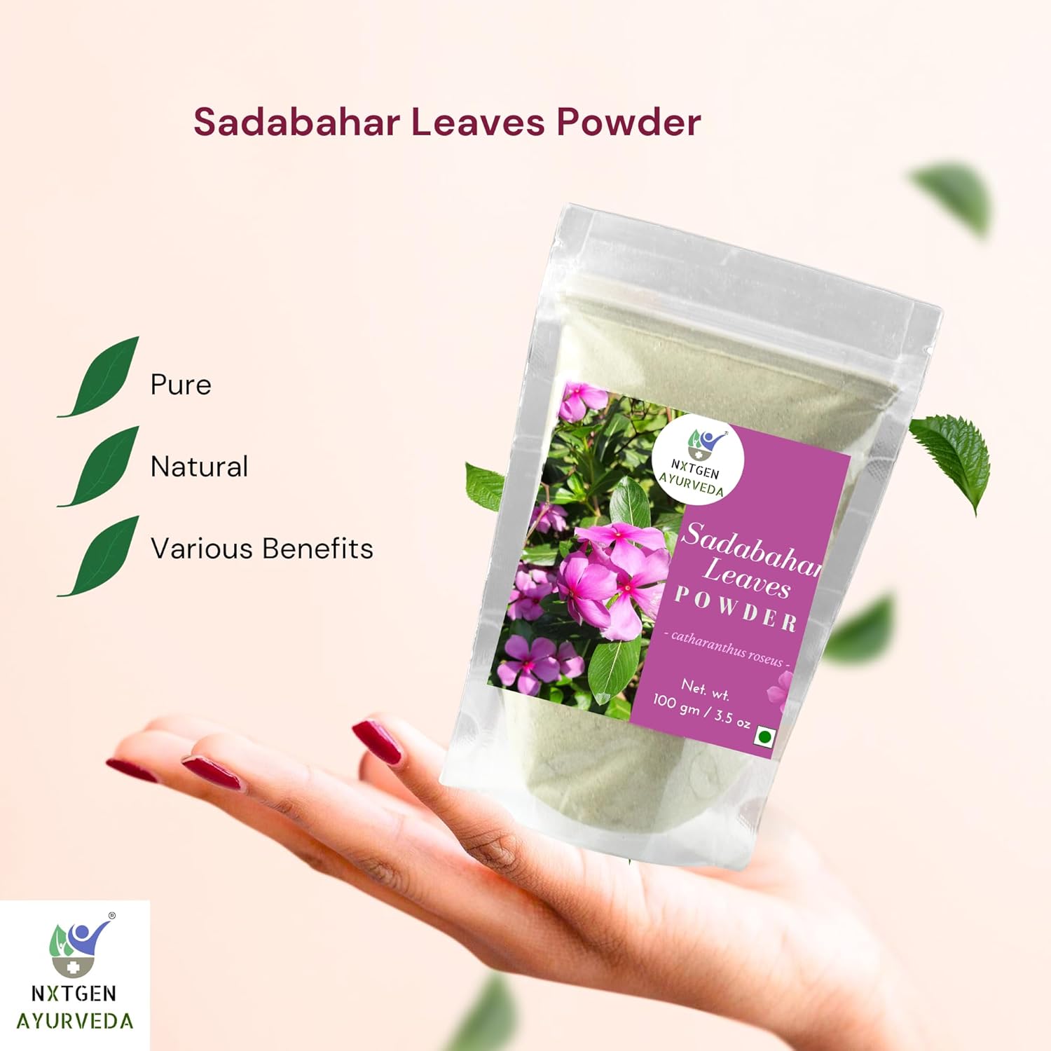 Nxtgen Ayurveda Sadabahar Leaves Powder | 100 gm | Nithyakalyani | Catharanthus Roseus | Madagascar Periwinkle | Sadapushpa