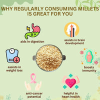 Vegan Jowar Pasta Pack of 2