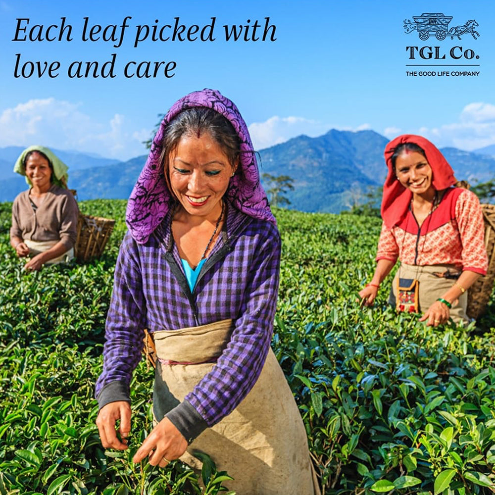 Christmas Cheer - Christmas Teas Gift Set | 4 Teas