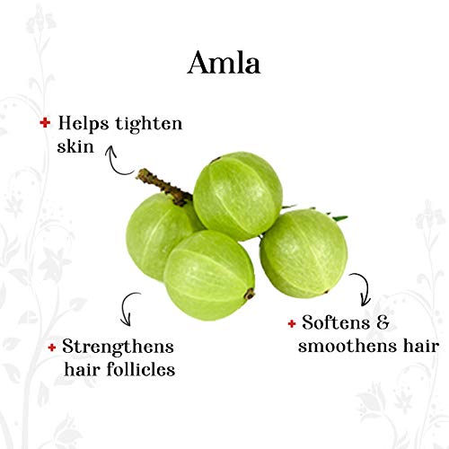 Rozhub Naturals Amla Powder For Pimple Free Clear Skin, Silky Hair, 100 Gm