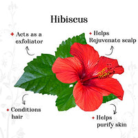 Rozhub Naturals Hibiscus Powder For Pimple Free Clear Skin, Silky Hair, 100 Gm
