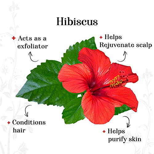 Rozhub Naturals Hibiscus Powder For Pimple Free Clear Skin, Silky Hair, 100 Gm