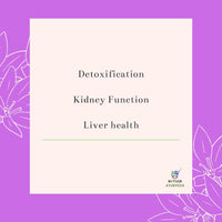 Nxtgen Ayurveda Punarnava Powder | 100g | Boerhavia Diffusa | Pure