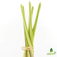 Oilcure Lemon Grass Oil | Pure | 30 ml | Undiluted