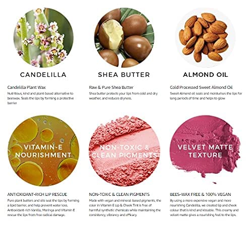 Rozhub Naturals Handmade Vegan Lip Balm for Dry, Chapped lips, Paraben & Sulphate Free - 8g (Coffee)