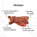 Rozhub Naturals Shikakai Powder For Pimple Free Clear Skin, Silky Hair, 100 Gm