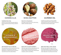 Rozhub Naturals Handmade Vegan Lip Balm for Dry, Chapped lips, Paraben & Sulphate Free - 8g (Rose Petal)