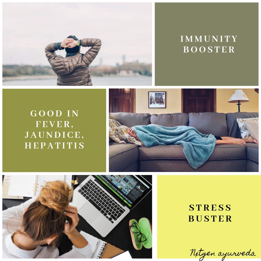 Nxtgen Ayurveda Giloy Powder | 100 gm | Tinospora Cordifolia | Immunity Booster | Guduchi Churna | Tippa Teega | Seenthil Kodi