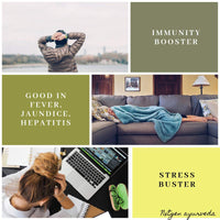 Nxtgen Ayurveda Giloy Powder | 100 gm | Tinospora Cordifolia | Immunity Booster | Guduchi Churna | Tippa Teega | Seenthil Kodi