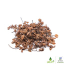 Nxtgen Ayurveda Nagkesar | 100g | Ochrocarpus Longifolius