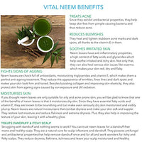 Rozhub Naturals Neem Handmade Soap - Antibacterial and Antifungal Soap for Acne, Eczema, and Other Skin Conditions, 100 Gm (Pack Of 4)