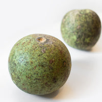 Nxtgen Ayurveda Bael Fruit Powder | 200 gm | Aegle Marmelos