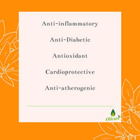 Oilcure Safflower Oil | Cold Pressed | 100 ml | Pure