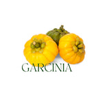 Nxtgen Ayurveda Garcinia Cambogia Powder | 100g | Weight Loss | Digestion
