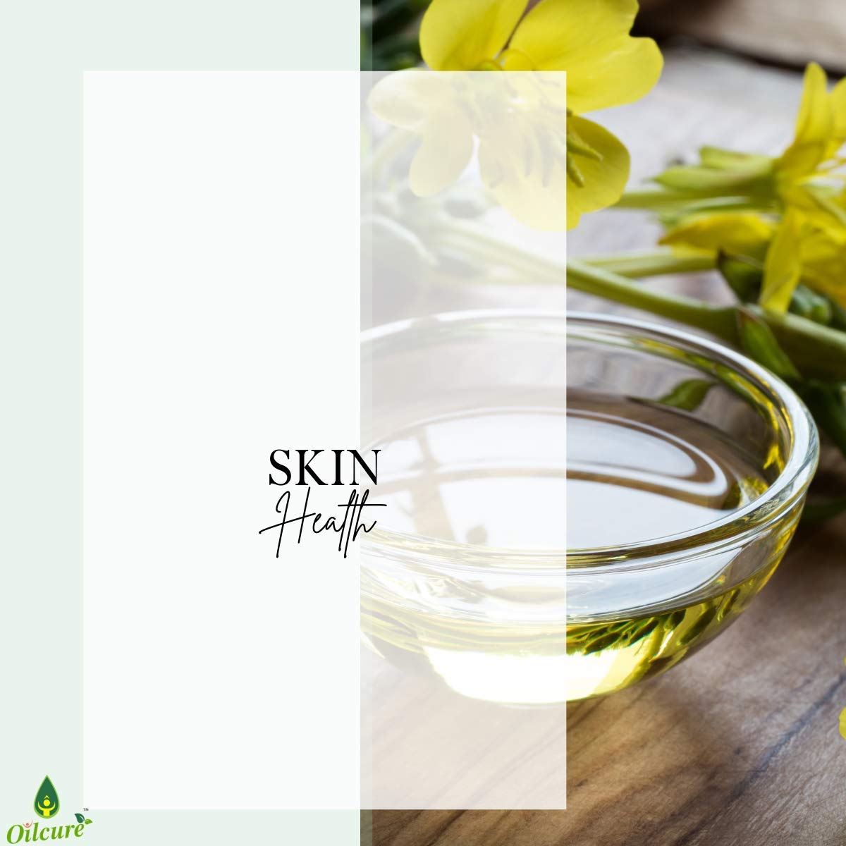 Oilcure Evening Primrose Oil | 30 ml | Therapeutic Grade | Carrier Oil