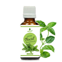 Oilcure Basil Essential Oil | Pure | 30 ml | Therapeutic Grade