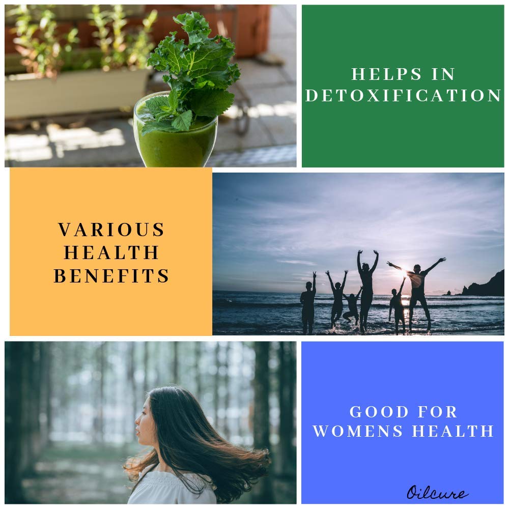 Oilcure Coriander Seed Oil Edible (Cold Pressed)- 100 ml