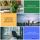 Oilcure Coriander Seed Oil Edible (Cold Pressed)- 100 ml