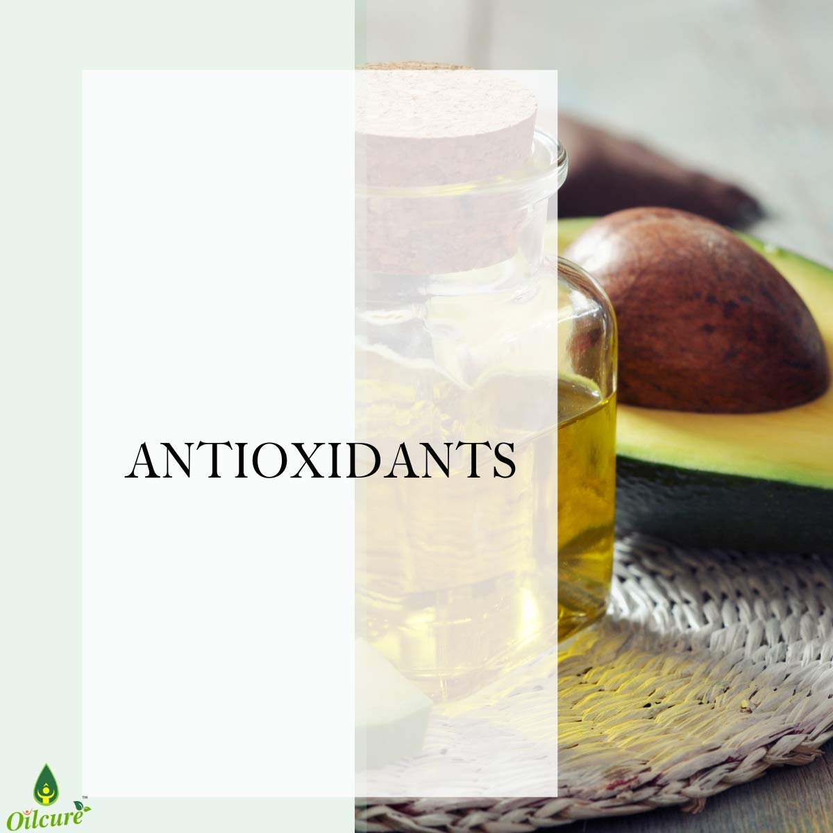 Oilcure Avocado Oil | 30 ml | Carrier Oil | Pure