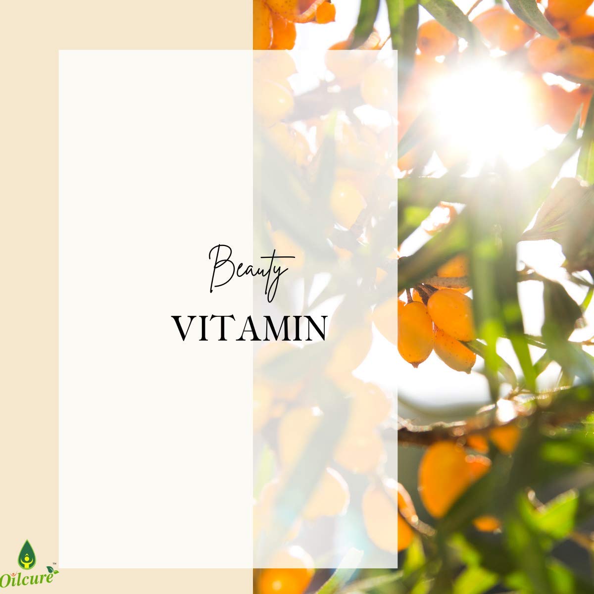 Oilcure Sea Buckthorn Oil | 30 ml | Pure | Undiluted