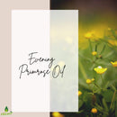 Oilcure Evening Primrose Oil | 30 ml | Therapeutic Grade | Carrier Oil