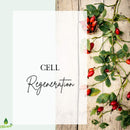 Oilcure Rosehip Oil Therapeutic Grade