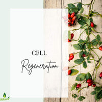 Oilcure Rosehip Oil Therapeutic Grade