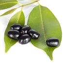 Nxtgen Ayurveda Jamun Leaves Powder | 100 gm | Syzygium cumini