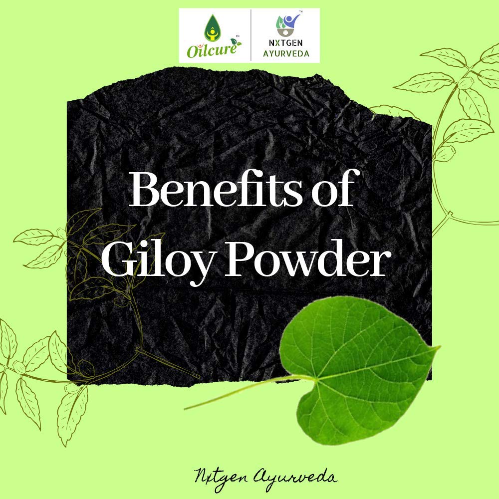 Nxtgen Ayurveda Giloy Powder | 100 gm | Tinospora Cordifolia | Immunity Booster | Guduchi Churna | Tippa Teega | Seenthil Kodi