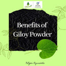 Nxtgen Ayurveda Giloy Powder | 100 gm | Tinospora Cordifolia | Immunity Booster | Guduchi Churna | Tippa Teega | Seenthil Kodi