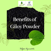 Nxtgen Ayurveda Giloy Powder | 100 gm | Tinospora Cordifolia | Immunity Booster | Guduchi Churna | Tippa Teega | Seenthil Kodi