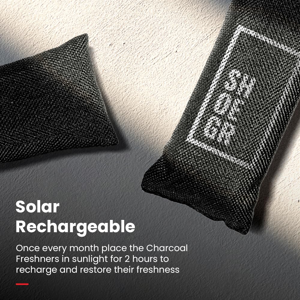 SHOEGR Charcoal Freshner | Scented Shoe deodorizer | Odor Eliminator