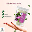Nxtgen Ayurveda Sadabahar Leaves Powder | 100 gm | Nithyakalyani | Catharanthus Roseus | Madagascar Periwinkle | Sadapushpa