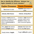 Nxtgen Ayurveda Ceylon Cinnamon Sticks| Pack of 2 | Sri Lankan Dalchini Sticks | 50g Each