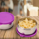 oliveware Magic Storage Containers, 100% Leak Proof and Spill Proof, 2 Stainless Steel Containers with BPA Free Airtight Lid (450ml Each) - Voilet