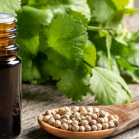 Oilcure Coriander Seed Oil Edible (Cold Pressed)- 100 ml