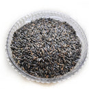 Oilcure Niger Seed Oil