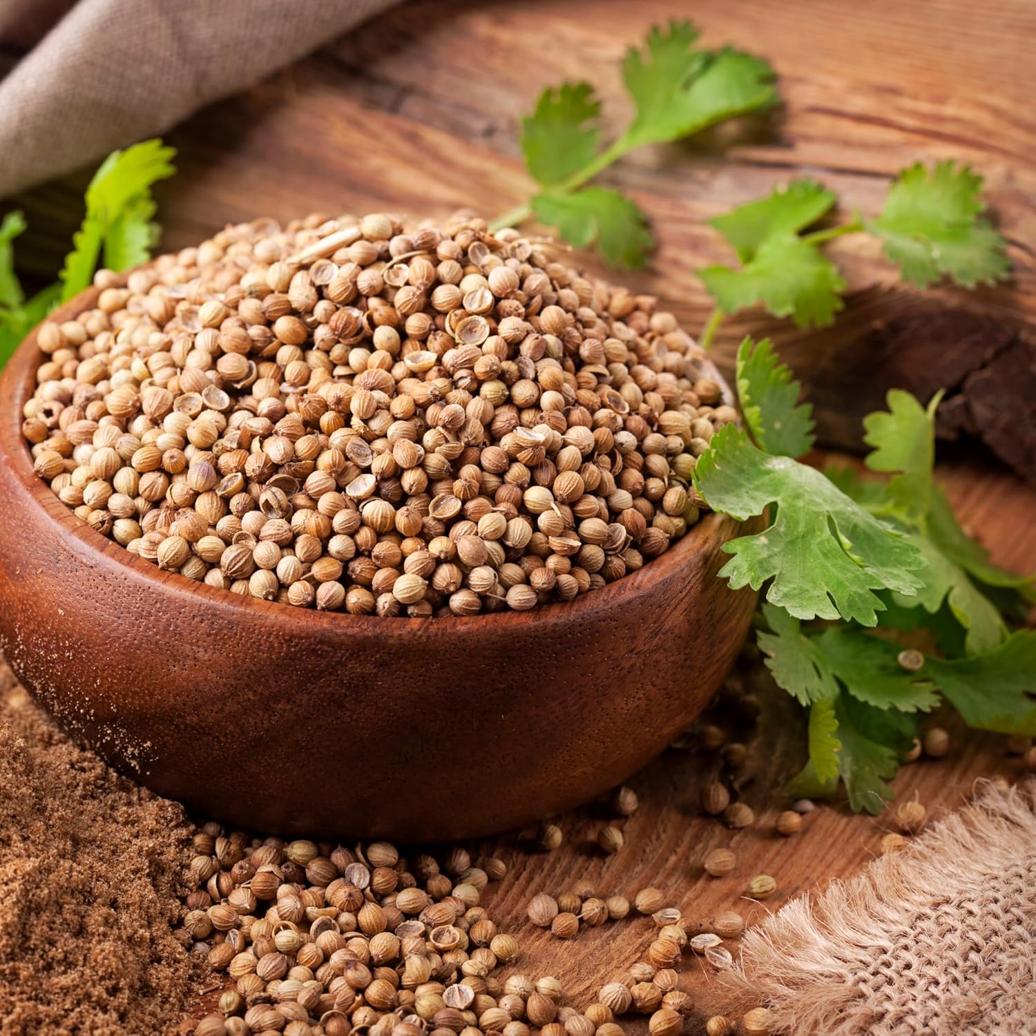 Oilcure Coriander Seed Oil Edible (Cold Pressed)- 100 ml