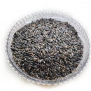 Oilcure Cold Pressed Niger Seed Oil 500 ml- Pack of 2