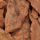 Nxtgen Ayurveda Arjun Chaal Powder | 250 gm | Terminalia Arjuna | Arjun Ki Chaal Powder